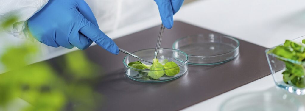 Laboratorio Castilla Biolab